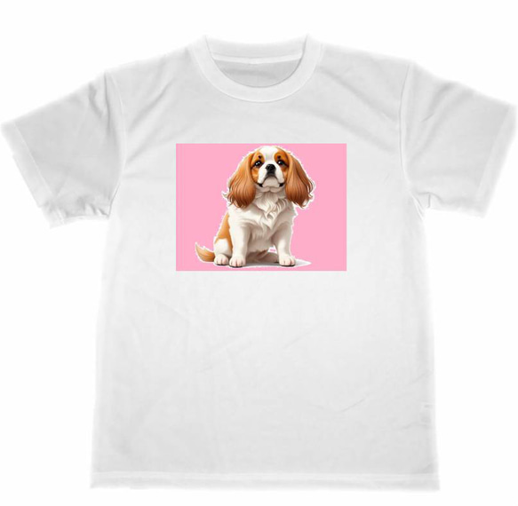 キャバリア　ドライ　Tシャツ　２　ペット　イラスト　グッズ　犬　Cavalier dog dry T-shirt