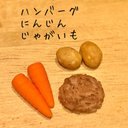 ハンバーグ、にんじん、じゃがいもセット