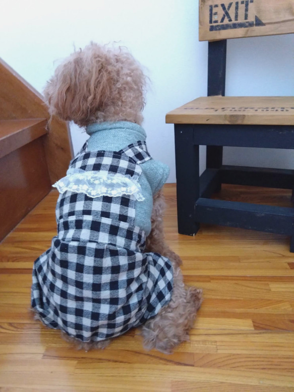 M 犬服 フリル　ブロックチェック　　レース つなぎ　サロペット　つなぎ　トイプードル 　パピヨン　シーズ　グリーン