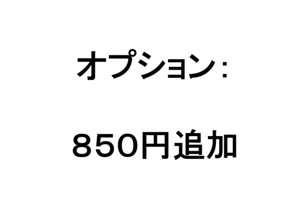 追加料金ページ： 850円