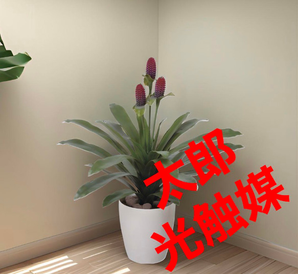 光触媒　人工観葉植物　ウォールグリーン　フェイクグリーン　マガべ花付