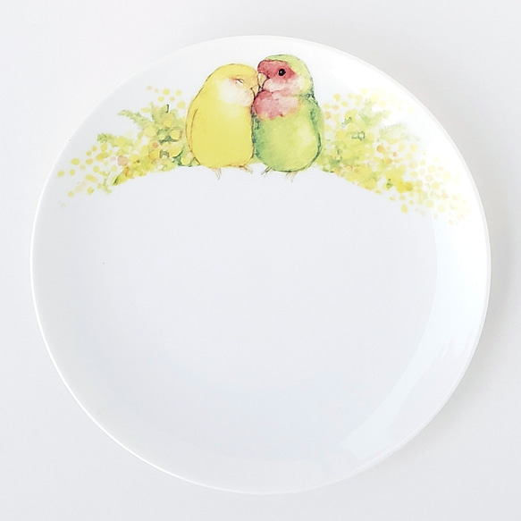 コザクラインコのお皿（　インコ　鳥　オリジナル　水彩画　プレート　食器）