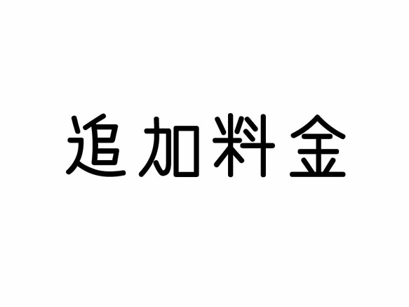 追加料金３００円分