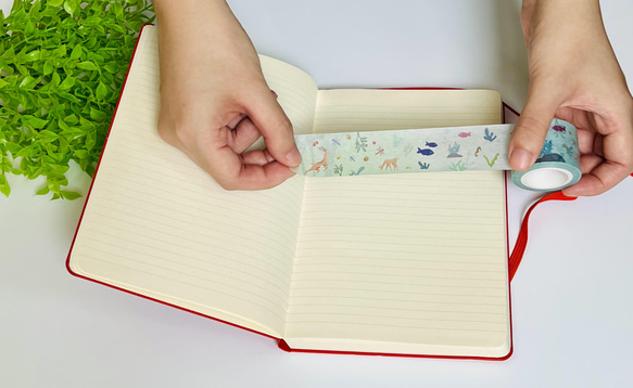 Original Design Paper Tape - Book of Nature by Seed Cone