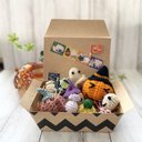 ハロウィンパーティーBOX A