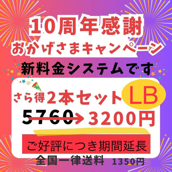 P10LB　レモンとバナナセット【全国送料一律】