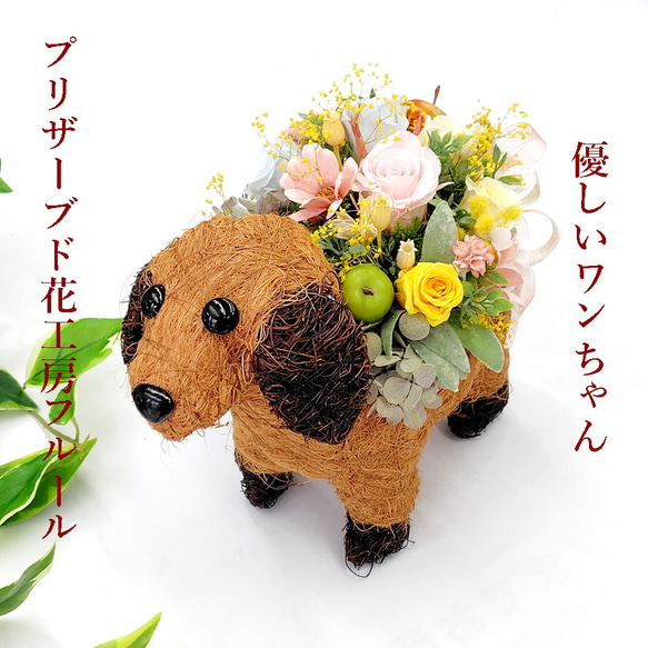 花 ギフト プリザーブドフラワー 犬 ぬいぐるみ