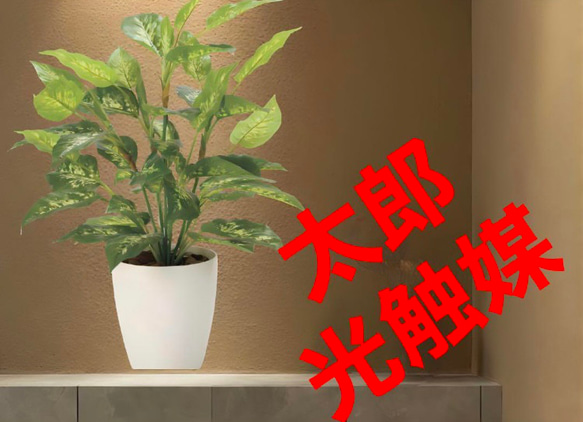 光触媒　人工観葉植物　フェイクグリーン　フレッシュディフェンバキアL