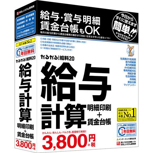 ＢＳＬシステム研究所 かるがるできる給料20 給与計算・明細印刷+賃金台帳