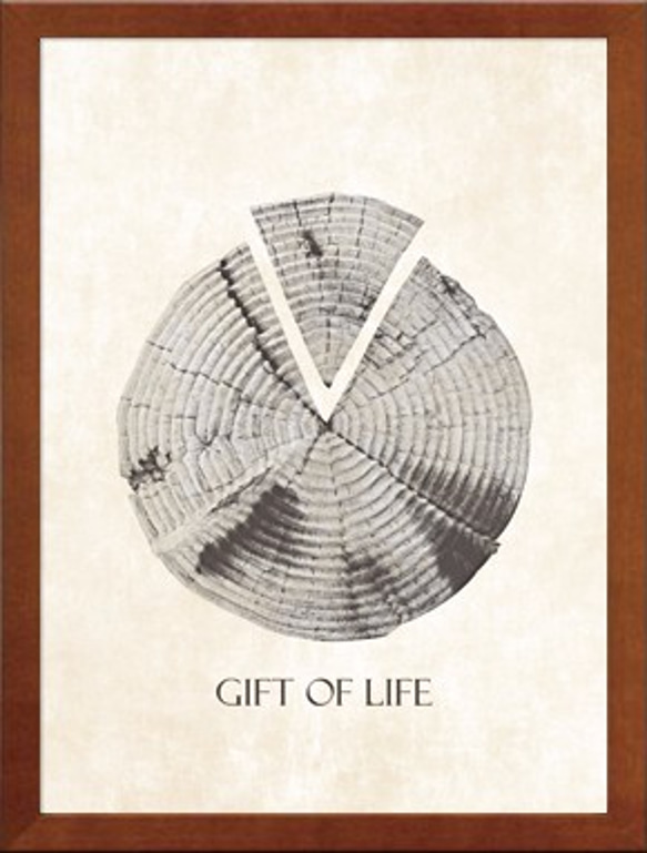 GIFT OF LIFE Free Photo Style A4 フレーム付き