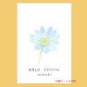 8月01日誕生花カード（花言葉つき）点描画