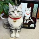 【オーダーメイドペット】羊毛フェルト、うちの子　猫ぬいぐるみ、フェルト猫、羊毛猫、肖像画、犬猫人形 プレゼントやギフトに