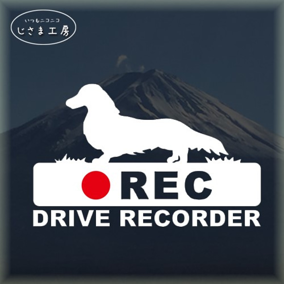 ダックスフンドの白シルエットステッカー後方注意!!『DRIVE　RECORDER』