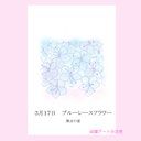 3月17日誕生花カード（花言葉つき）点描画