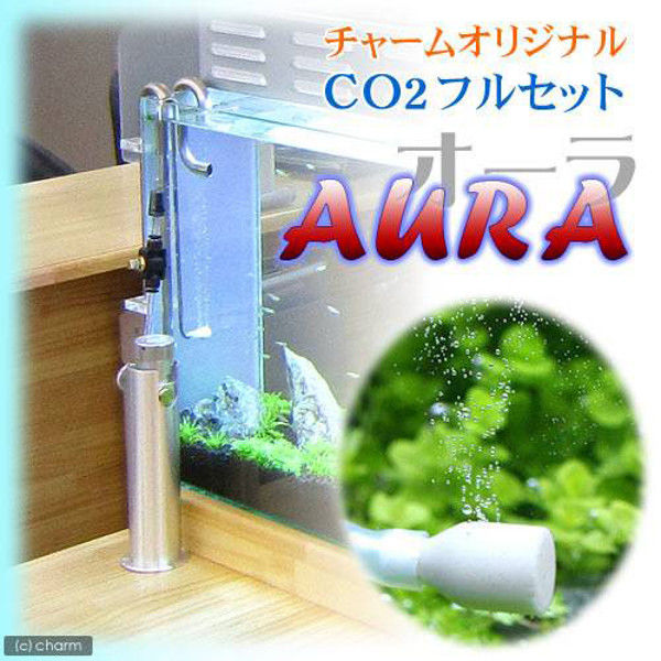 リーフ ＣＯ２フルセット ＡＵＲＡ ＲＣＧ０３２８・専用スタンド バブルカウンター付き 182390 1セット（直送品）