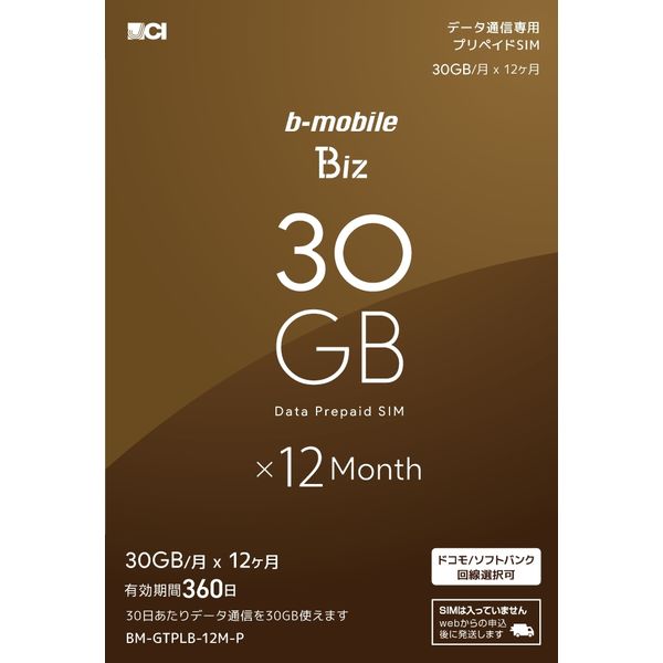 日本通信 b-mobile Biz 申込パッケージ BM-GTPLB-12M-P 1個（直送品）