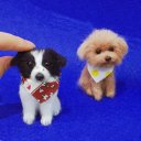 【オーダーメイドペット】羊毛フェルト、うちの子　犬ぬいぐるみ、フェルト犬、羊毛犬、肖像画、犬猫人形 プレゼントやギフトに