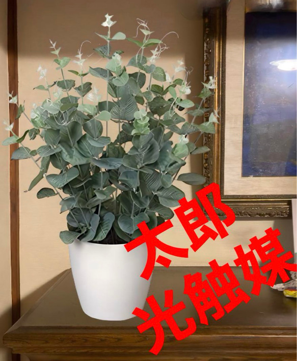 光触媒　人工観葉植物　ウォールグリーン　フェイクグリーン　ユーカリ高さ42センチ