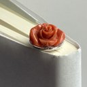 赤サンゴ薔薇　シルバーブック