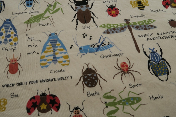 ランチマット（４０×４０ｃｍ）昆虫柄/ Large Lunch mat (Insects)