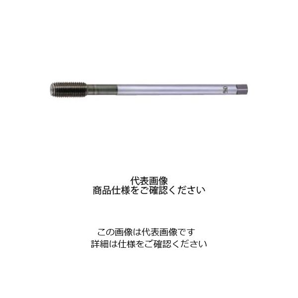 ニューロールタップ HL-LT-B-NRT B RH5 M12X1.75X1 8307645（直送品）