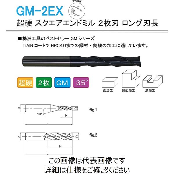 株洲ダイヤモンド切削工具 超硬 スクエアエンドミル 2枚刃 ロング刃長 GM-2EX-D16.0 1本（直送品）