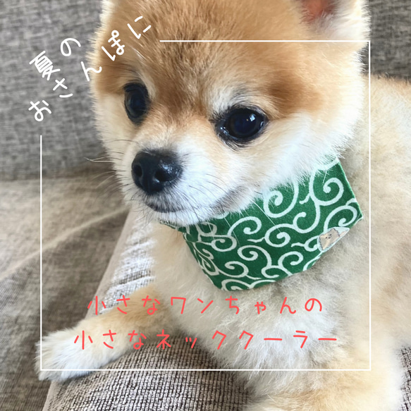 小型犬用 ネッククーラー