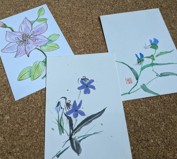 選べる植物の絵葉書３枚セット