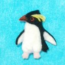 イワトビペンギンのブローチ????