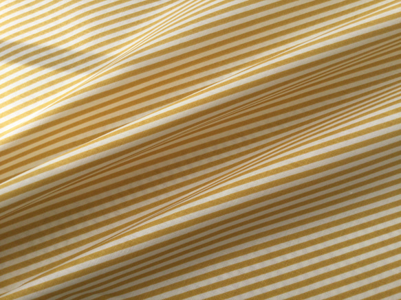 イエローのバイヤスストライプDaybreay Stripe/yellow by Fran Gulick