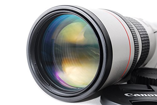 Canon キャノン EF 300mm F4L USM 高級単焦点レンズ カメラ【中古品】