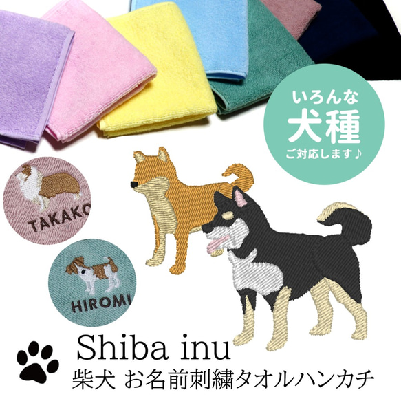 柴犬刺繍今治タオルハンカチ