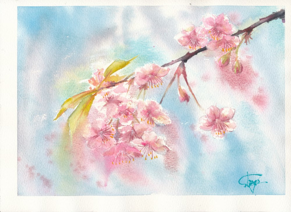 SAKURA 桜　春　水彩画　手描き　原画