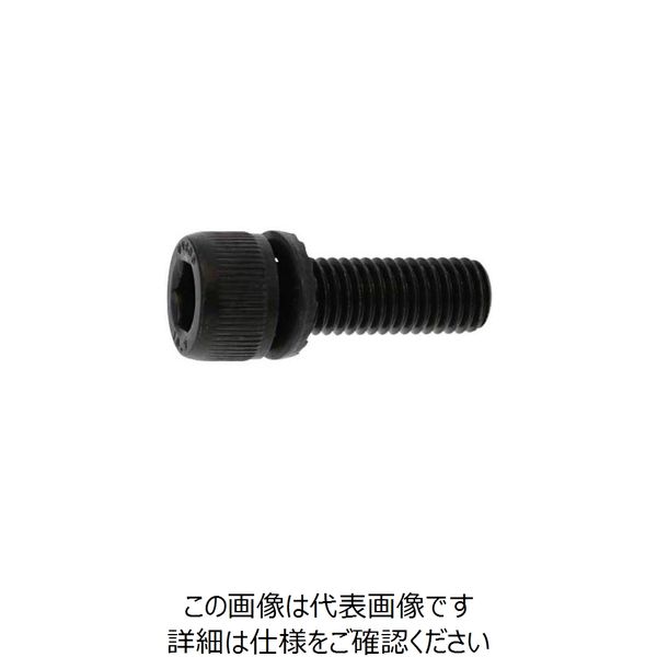 SUNCO 10.9GTーS CAP 10 X 22 (100本入) A0-00-9S00-0100-0220-00 1箱(100本)（直送品）