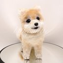 ＊先着1名様30%引＊  オーダーメイド　羊毛フェルト　犬　うちの子　リアル犬　ペット