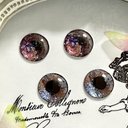 アイチップ　アイシートのガラスアイ　14mm             アソート   2ペアセット 薔薇園の蝶  アイシードール　ブライス