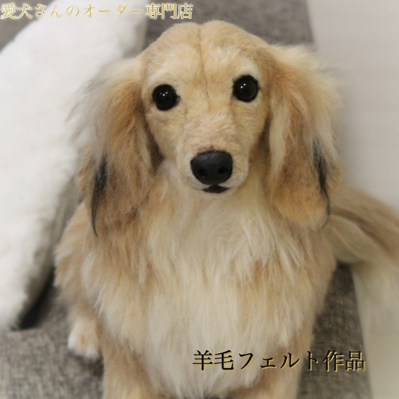 《愛犬さんのオーダー》羊毛フェルト　オーダー　犬　羊毛フェルト　チワワ　リアル　ダックス　ポメラニアン　羊毛フェルト犬