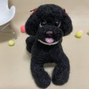 Ｔ94★ クロ・トイプードル犬の羊毛フェルト❣️