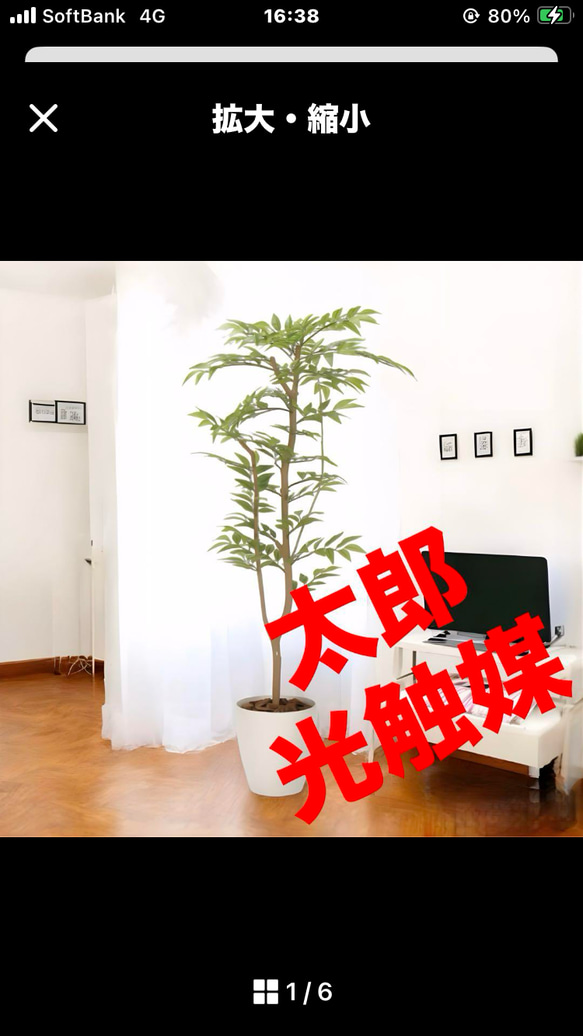 光触媒　人工観葉植物　ウォールグリーン　フェイクグリーン　ソヨゴ1.3