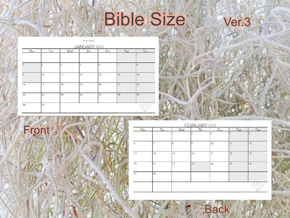 【バイブル】2023 イヤリー＆マンスリーバンドル　Ver.3　手帳リフィル