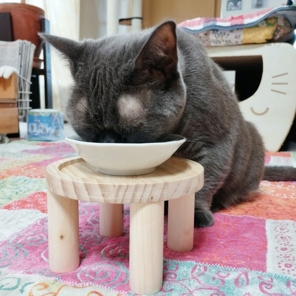 どこでもちゃぶ台　フードテーブル　フードスタンド　ご飯台　食器台　餌台