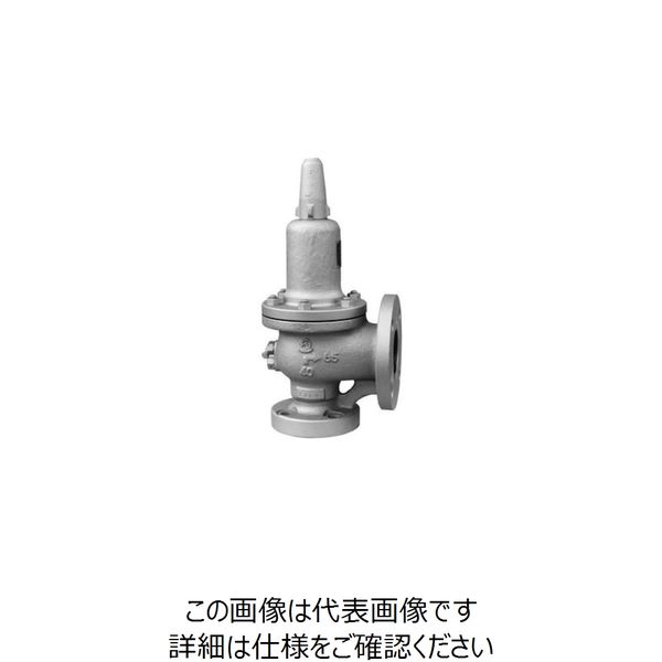 ベン SF16L C1安全弁 SF16L C1