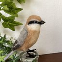 百舌鳥(モズ) 羊毛フェルト野鳥