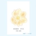 6月28日誕生花カード（花言葉つき）点描画