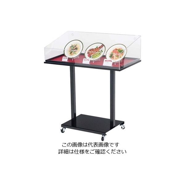 友屋 サンプルケーススタンド ワイド 56997 63-7216-15 1個（直送品）