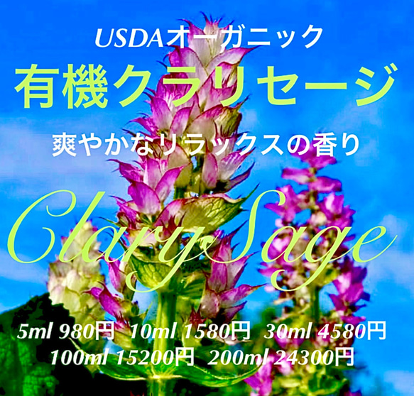 【爽やかな香り】有機(USDAオーガニック)クラリセージ精油30ml