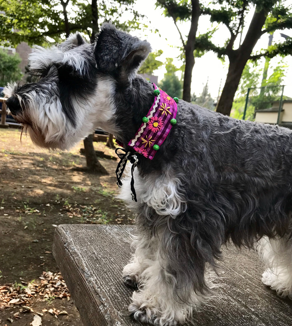 Ribboned Choker