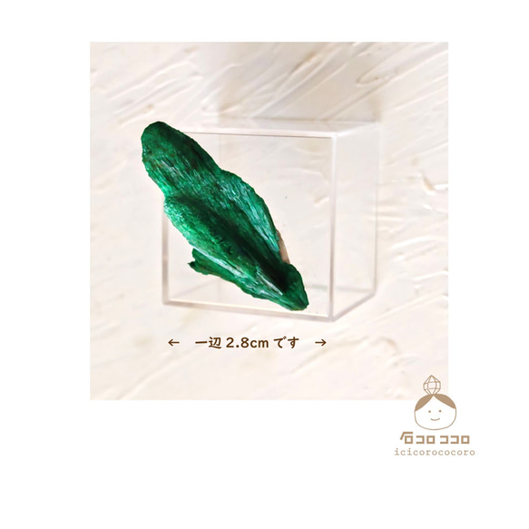 《国内送料無料》 緑の結晶 ✦ ベルベット マラカイト 04「 インコ 」 ✦モロッコ直輸入【かわいい鉱物標本】