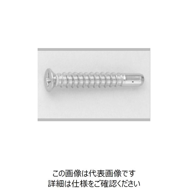 ファスニング J SC-4 ステン（+）BRPサラ（D＝6 4X40（G＝5 2102050600400400G4 1箱（500個）（直送品）