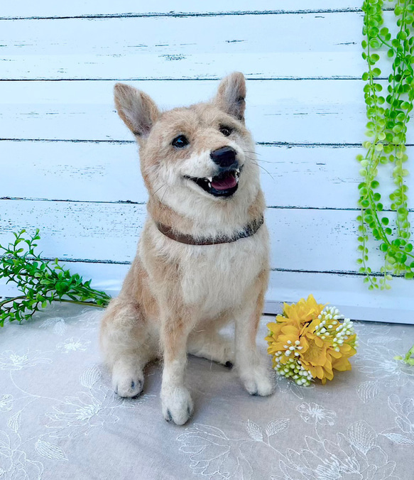 大きいサイズ♡オーダー　犬♡柴犬　世界でたったひとつ♡うちの子をずっとそばに♡ウェルカムドッグ♡再現  結婚式